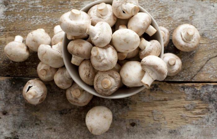 Secondo uno studio, l’estratto di champignon rallenta la crescita del cancro alla prostata