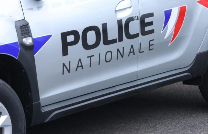 Un'adolescente di 14 anni incriminata a Mulhouse per stupro e tentato stupro