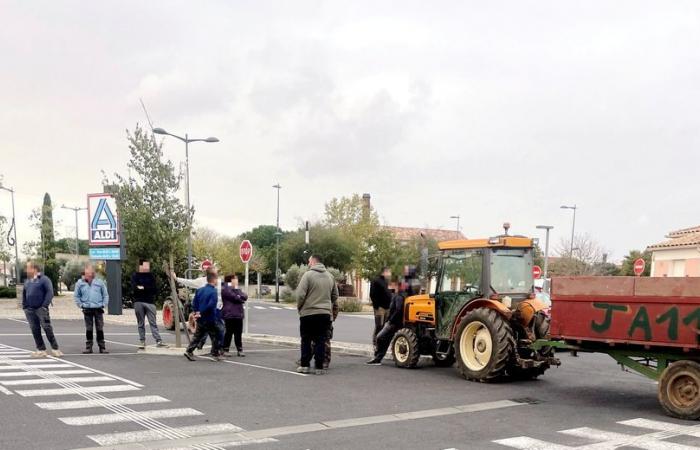 Agricoltori arrabbiati: nell'Aude, i viticoltori attaccano un supermercato che promuove “troppo” i vini spagnoli