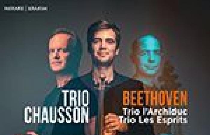 Trio con pianoforte n. 7 in si bemolle maggiore op. 97 “All'Arciduca” di Beethoven