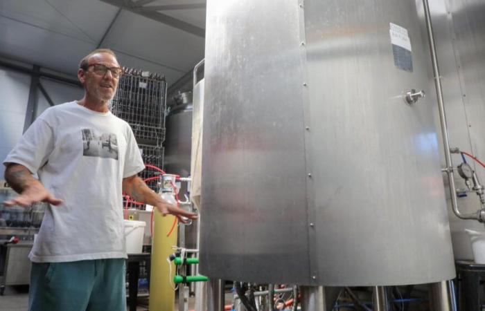 La Séquère, la fabbrica di cola delle Landes al sapore di pino