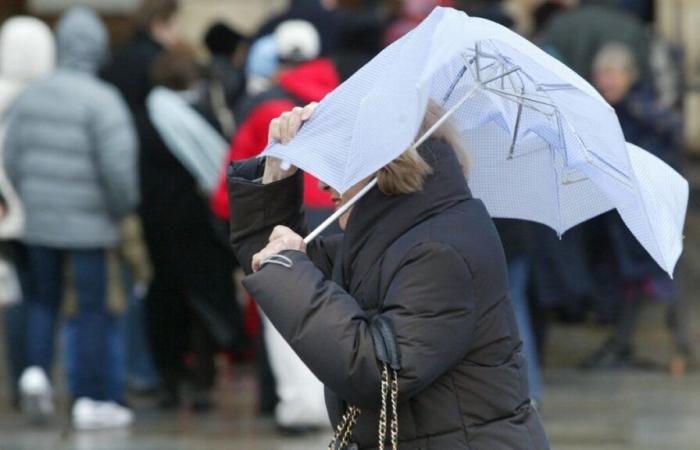 Venti forti: nove dipartimenti centro-orientali messi in allerta arancione, traffico SNCF interrotto