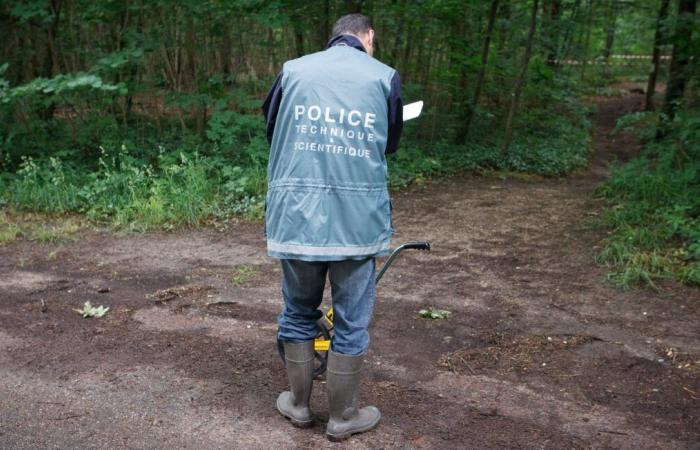 Un vicino incriminato dopo il ritrovamento del corpo di una donna in una borsa