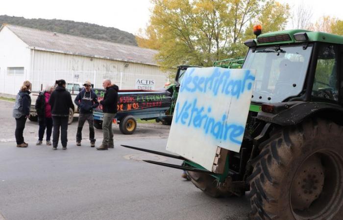 “L’arrivo della carne dal Sud America avrà inevitabilmente un impatto sui prezzi e sui prezzi di vendita”: gli allevatori dell’Aude si mobilitano contro l’accordo Ue/Mercosur