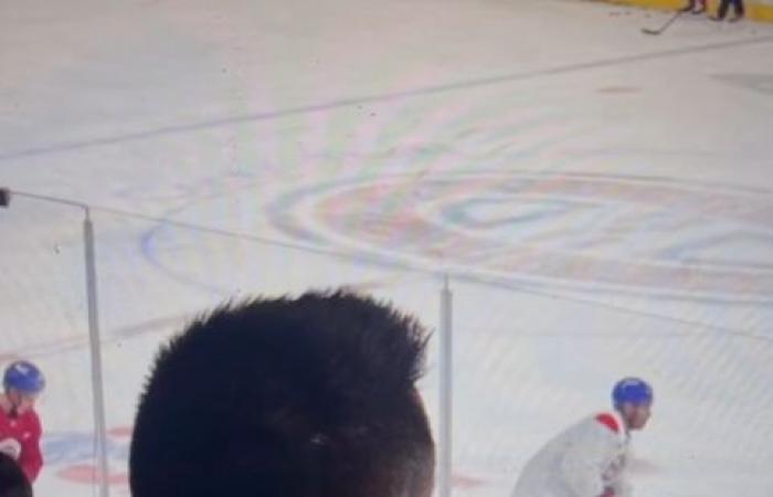 Tomas Plekanec ha appena condiviso un messaggio ai fan canadesi