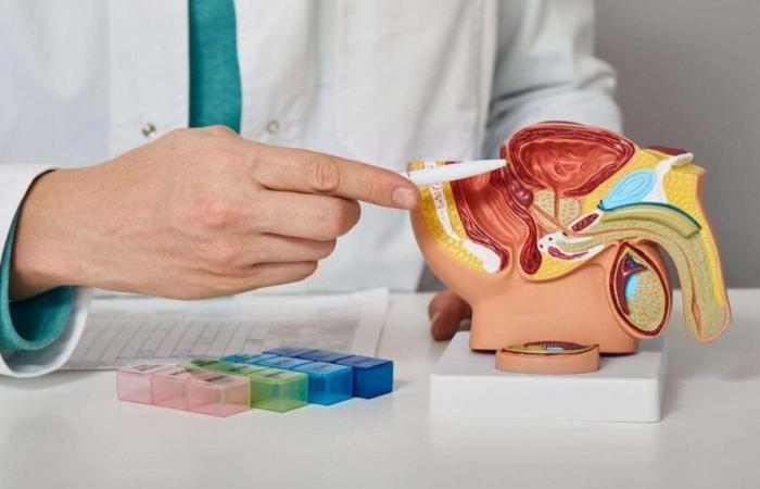 Cancro alla prostata: presto un semplice esame delle urine per diagnosticarlo?