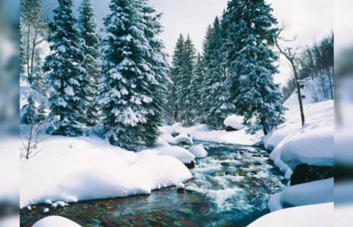 Avvisi meteorologici invernali: QUESTI 15 stati si preparano alla neve, la parata di Macy è in pericolo