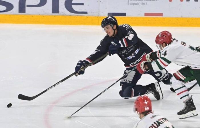 Hockey su ghiaccio – Coupe de France (8°). Con i Duchi d’Angers è il turno di Tavernier