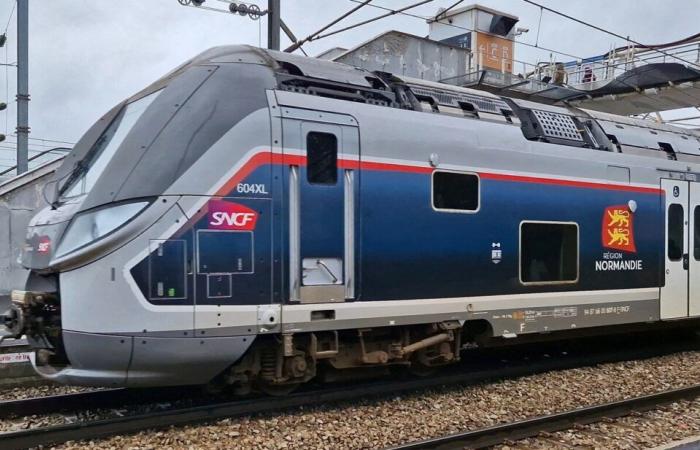 SNCF. Rallentato dal maltempo e dai cinghiali, un viaggio Caen-Parigi arriva con 7 ore di ritardo