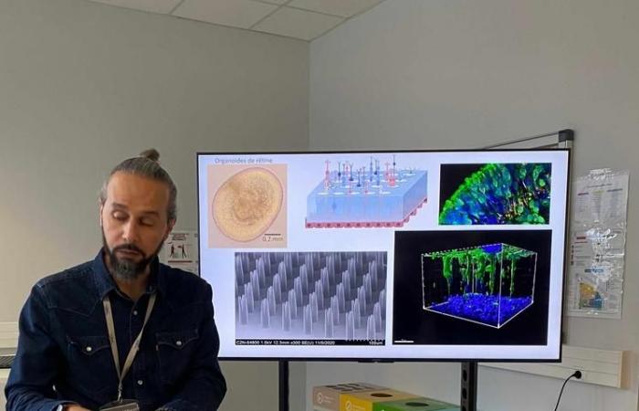 L’intelligenza artificiale inietta una nuova dose di speranza contro le malattie rare