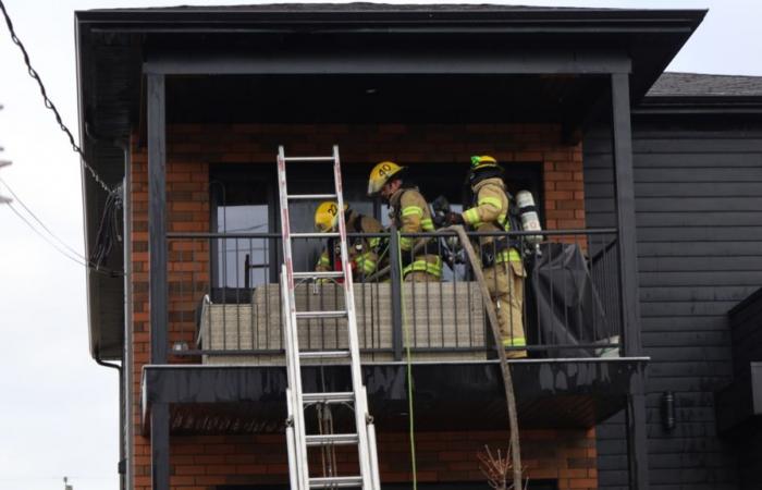 Mozziconi di sigaretta coinvolti nell’incendio avvenuto domenica scorsa