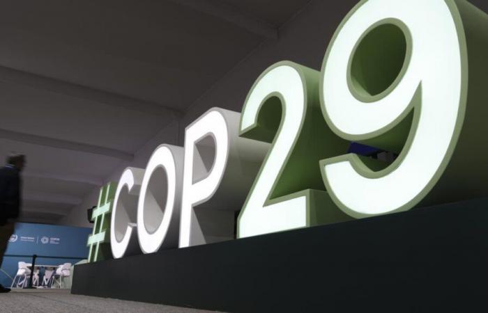 Nelle notizie: COP 29, una grande delusione per l’Africa…