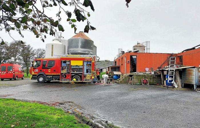 Lamballe-Armor: un'associazione richiede una stele per i maiali morti tra le fiamme