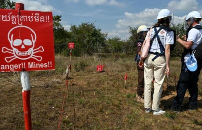 Vendita di armi all’Ucraina: l’ONU denuncia la “rinnovata minaccia” delle mine antiuomo: Notizie