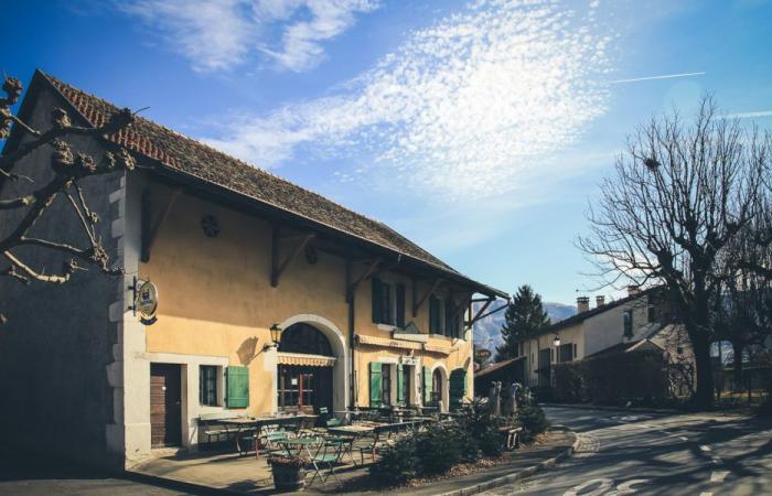 Ambasciatori locali – Le Café de Babel