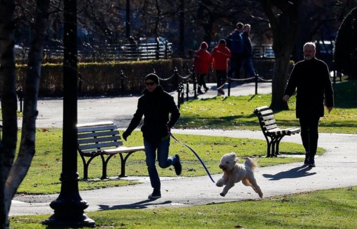 Lunedì porta il sole, martedì arriva la pioggia