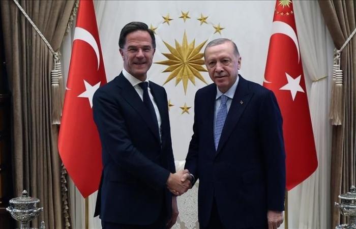 Erdogan e Mark Rutte discutono delle sfide alla sicurezza collettiva