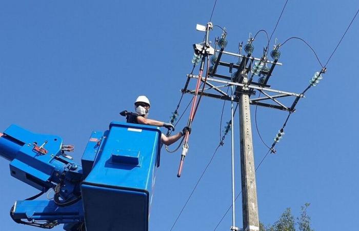 Dopo la tempesta, gli abbonati della Loira Atlantica e della Vandea cercano di ripristinare da soli l'elettricità