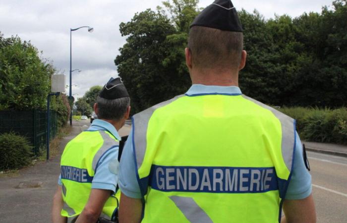 Un programma molto seguito questo lunedì sera dedicato ai gendarmi del Gard