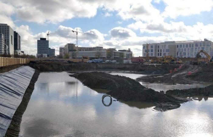 Dal Boulevard des Scillas alla Route d’Esch, ecco i principali progetti a Howald e Cloche d’Or