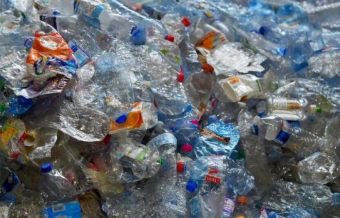 Raccolta differenziata: i francesi fanno progressi sulla plastica, ma restano lontani dall'obiettivo europeo: News