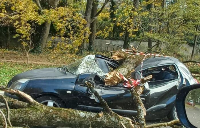 un supermercato evacuato d'urgenza, l'OL Vallée chiuso