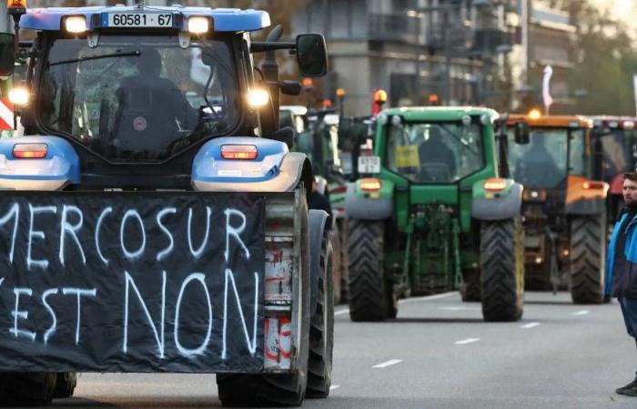 L'opposizione della Francia, il sostegno della Germania, i timori degli agricoltori… capiscono tutto del trattato Mercosur