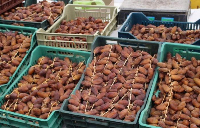 Dopo le patate, la speculazione arriva alle date: 120 tonnellate sequestrate a Ben Arous