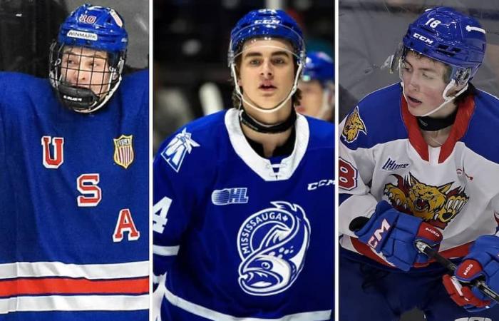 NHL Draft: una sorpresa numero uno per questo esperto, un quebecchese nella top-10