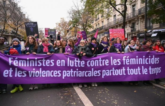 93 donne vittime in Francia nel 2023, secondo un rapporto aggiornato