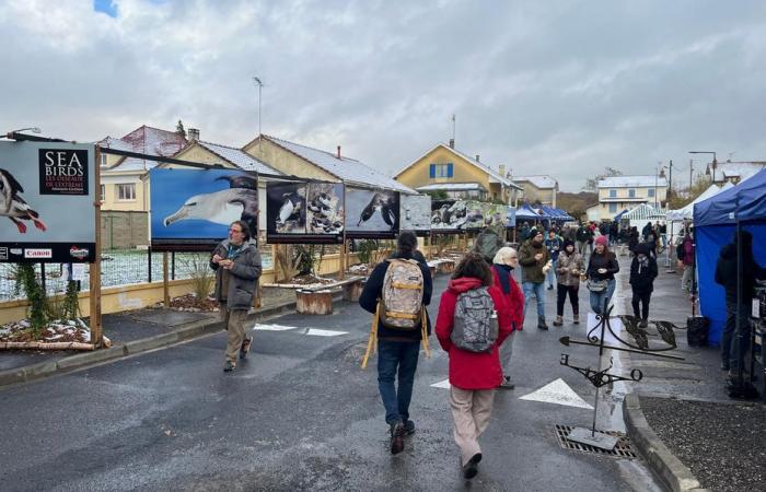 Reunion e Saint-Pierre e Miquelon nel cuore di uno dei più grandi festival di fotografia naturalistica d'Europa