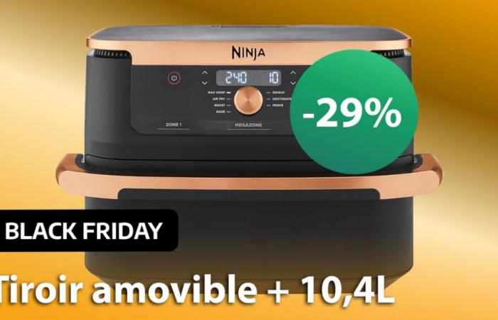 Black Friday AirFryer: “Fantastico!” “Magnifica”, questa friggitrice senza olio in offerta ha conquistato il cuore dei francesi ed è ancora più economica al momento!