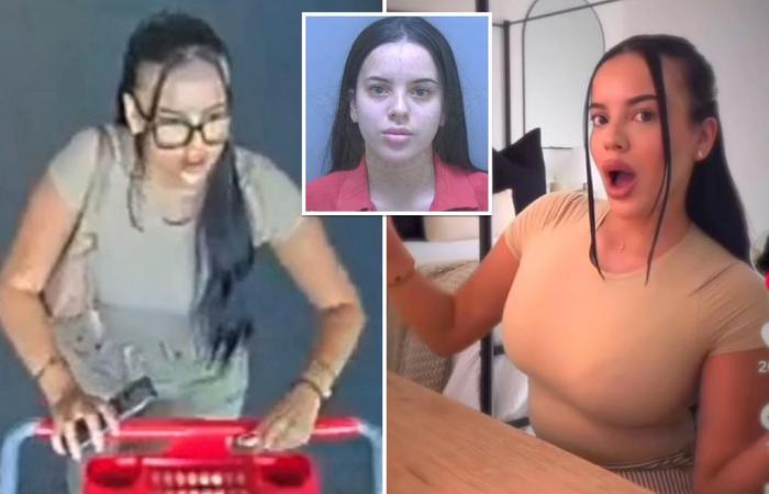 L’influencer di TikTok Marlena Velez è stata arrestata dopo aver presumibilmente ostentato in video prodotti Target rubati