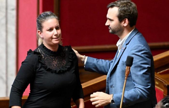 riassumiamo la polemica attorno alla proposta di legge della France insoumise volta ad abrogare tale reato