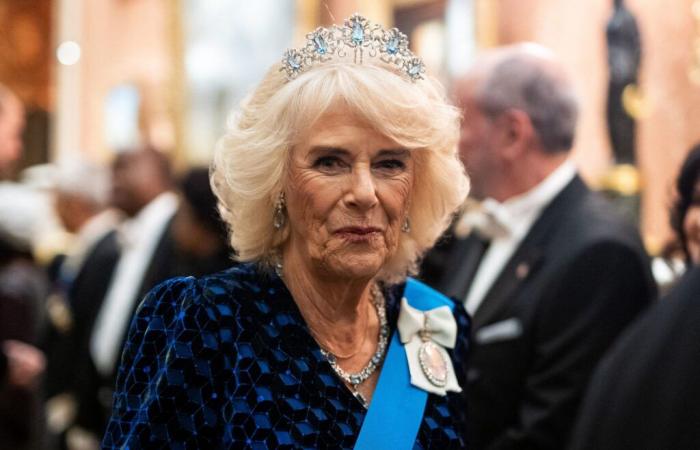 Camilla Parker Bowles: questo hobby che parlerà a molte persone la rende molto competitiva