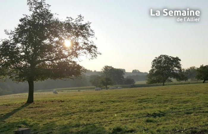 Allier (meteo) – Che tempo farà martedì 26 novembre?