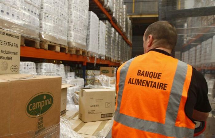 Grande mobilitazione questo fine settimana per la raccolta annuale del Banco Alimentare