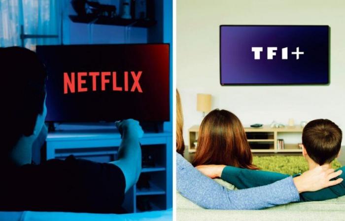 TF1 e Netflix uniscono le forze per trasmettere insieme una nuova fiction quotidiana