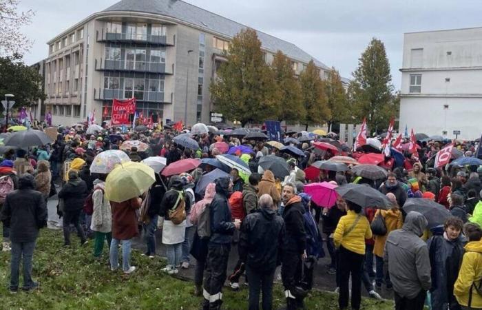 Il mondo della cultura manifesta a Nantes questo lunedì 25 novembre