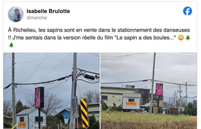 Gli alberi di Natale in vendita nel parcheggio di un bar di ballerini nudisti a Montérégie fanno sorridere gli internauti