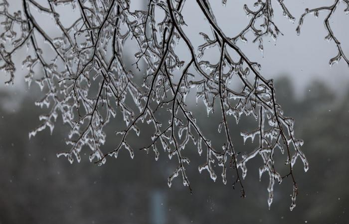 Martedì è prevista pioggia gelata in alcune regioni del Quebec