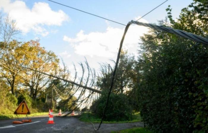 Vento forte: sette dipartimenti centro-orientali ancora in allerta arancione Lunedì: News