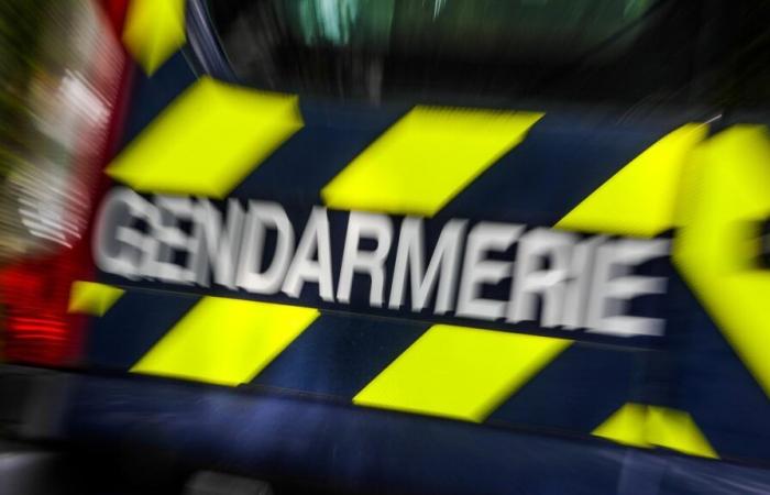 Gli anti-bassini rivendicano dalla NR l'incendio di macchine edili in Vandea