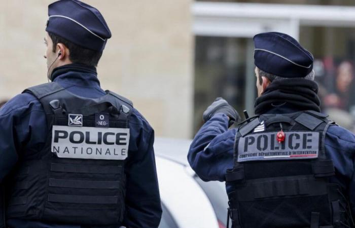 Francia: una ragazza di 17 anni incriminata per omicidio