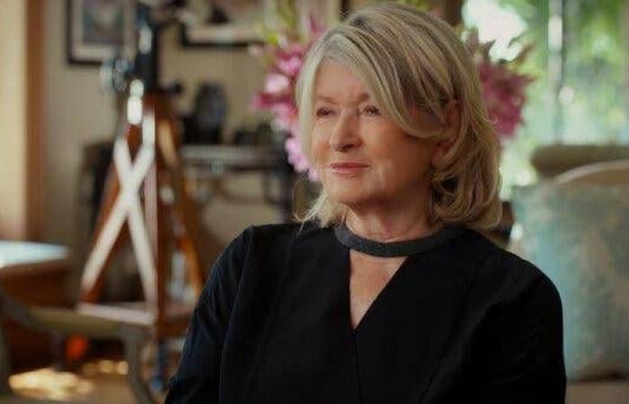 Martha Stewart: Dopo la prigione, Confessioni