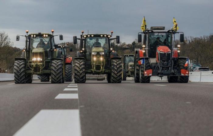 Mobilitazione degli agricoltori: convoglio a Strasburgo, dighe filtranti, cosa dobbiamo aspettarci questa settimana?