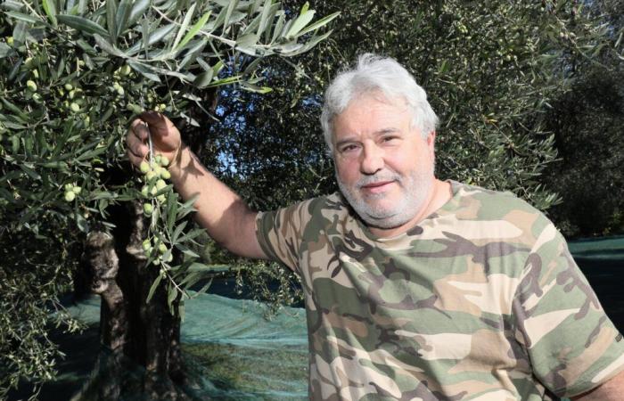 “Il malcontento è generale, non siamo lontani dallo scendere in piazza per dirlo”: la rabbia degli agricoltori è alle stelle nelle Alpi Marittime