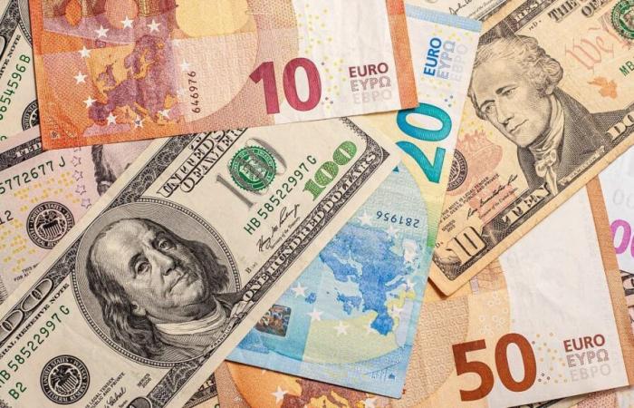 l’euro cade, il dollaro stabile sul mercato della valuta nera