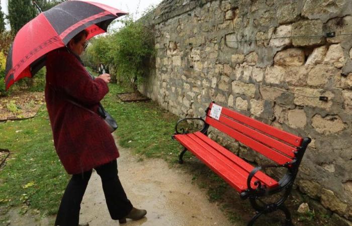 “Ne abbiamo bisogno in ogni città”: nell'Oise, una panchina rossa per sostenere le donne vittime di violenza