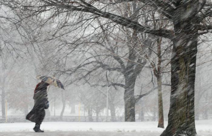 Prospettive della tempesta di neve del Ringraziamento – NBC Boston